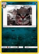 war cat
