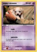 puppy cuteness