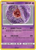 Nucleus