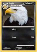M L G Eagle