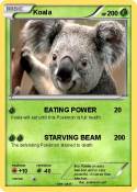 Koala