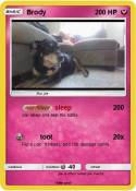 Brody