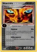 Wizard kitty
