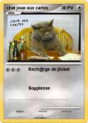 chat joue aux