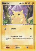 Pikachu LV.12