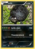 turtle