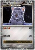 super tigre