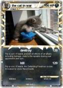 the cat in war