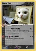 Crazy Cat
