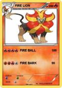 FIRE LION