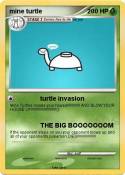 mine turtle