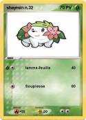 shaymin n.32
