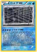 L 13 A 17 IRE