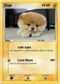 Doge