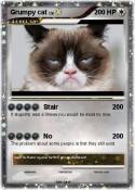 Grumpy cat