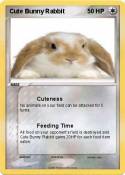 Cute Bunny Rabb