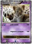 minimignon