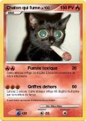 Chaton qui fume