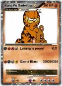 Kung Fu Garfeil