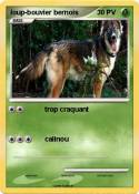 loup-bouvier