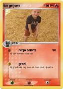 ibe geijsels