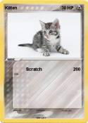 Kitten