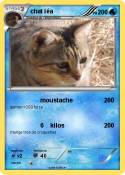 chat léa