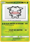 POUVOIR DE LA