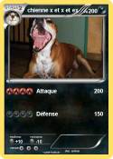 chienne x et x