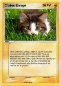Chaton Enragé