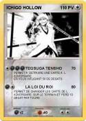 ICHIGO HOLLOW