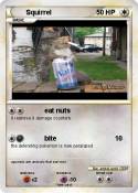 Squirrel