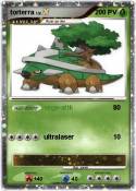 torterra