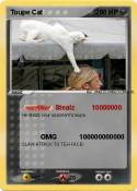 Toupe Cat