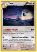 Doge