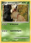 berger allemand