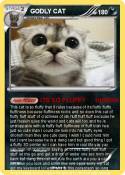 GODLY CAT
