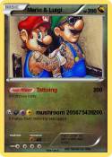 Mario & Luigi