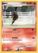paard