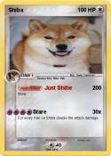 Shiba