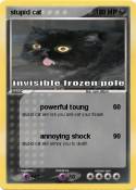 stupid cat