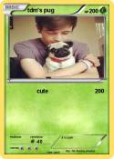 tdm's pug