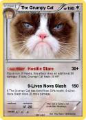 The Grumpy Cat