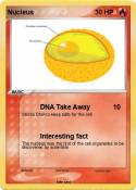 Nucleus