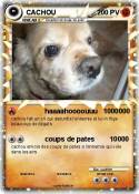 CACHOU
