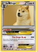 Doge