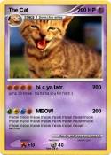 The Cat