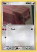Pig