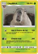 CApyBArA
