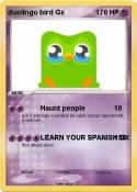 duolingo bird